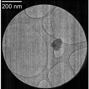 (IUCr) SCXRD, CSP-NMRX and microED in the quest for three elusive ...