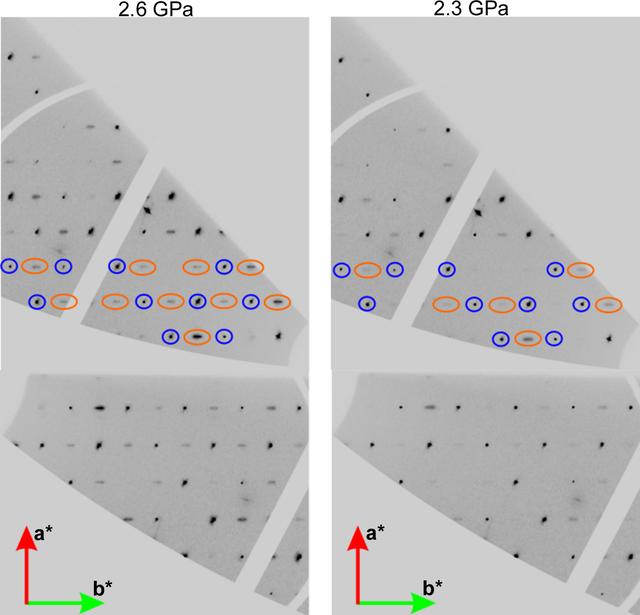 [Figure 5]