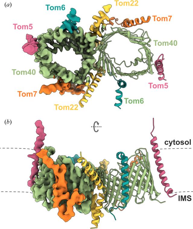 [Figure 2]