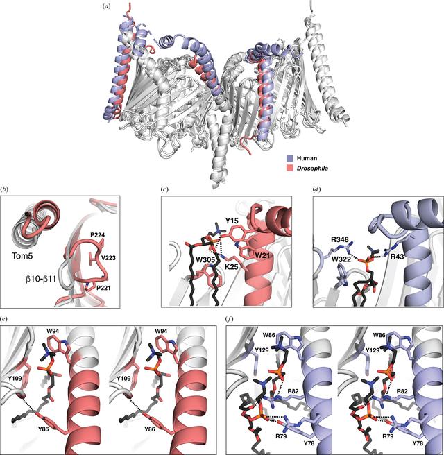 [Figure 4]