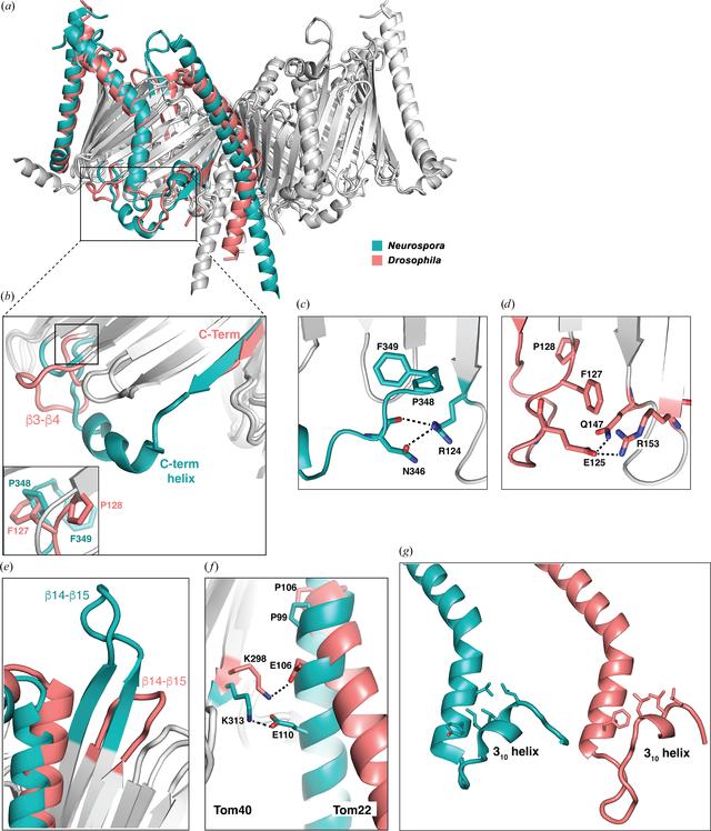 [Figure 5]