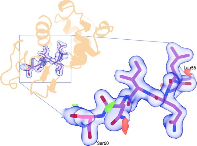 [Figure 3]