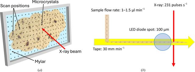 [Figure 1]