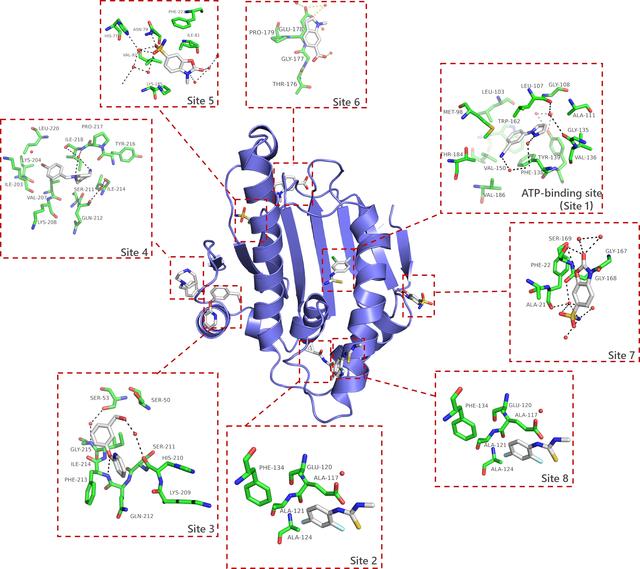 [Figure 2]