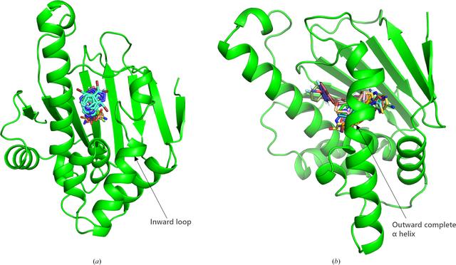 [Figure 4]