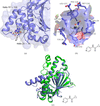 [Figure 5]