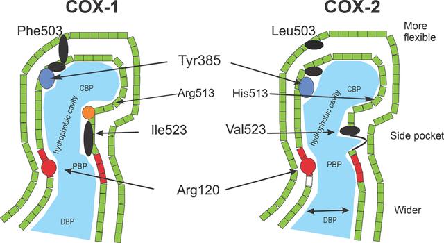 [Figure 3]