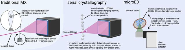 [Figure 1]