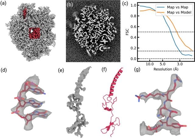 [Figure 3]