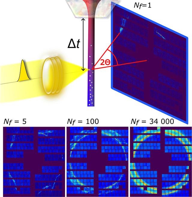 [Figure 1]