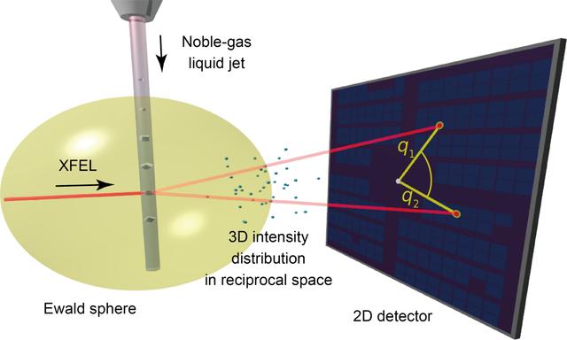 [Figure 1]
