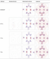 [Figure 4]