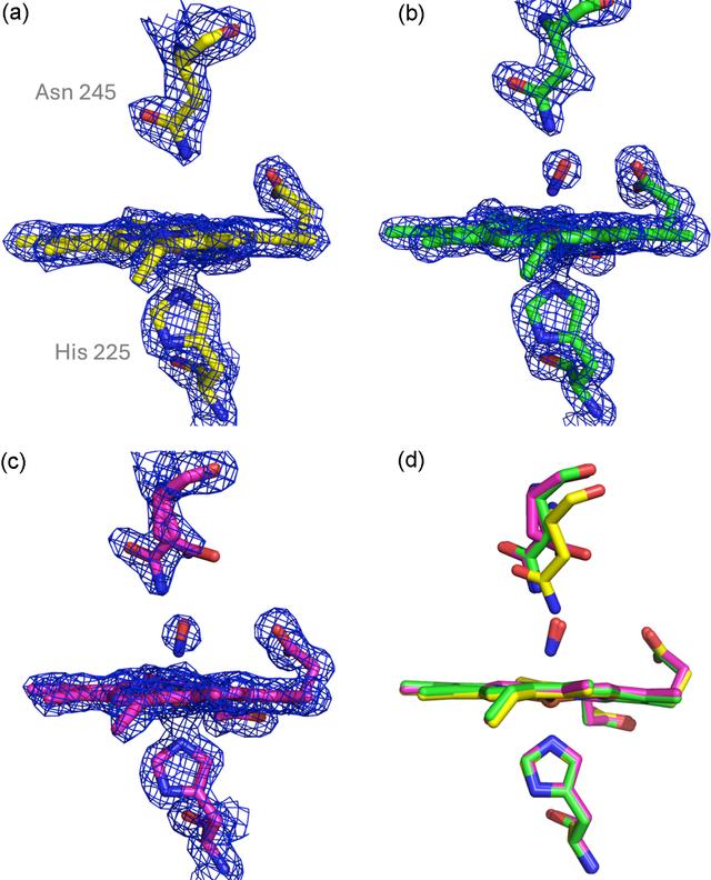 [Figure 3]