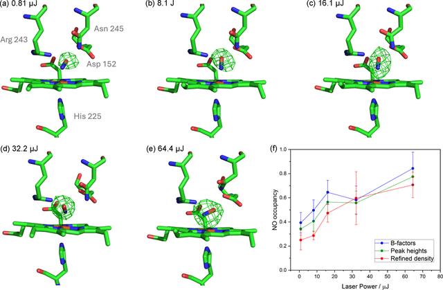 [Figure 6]