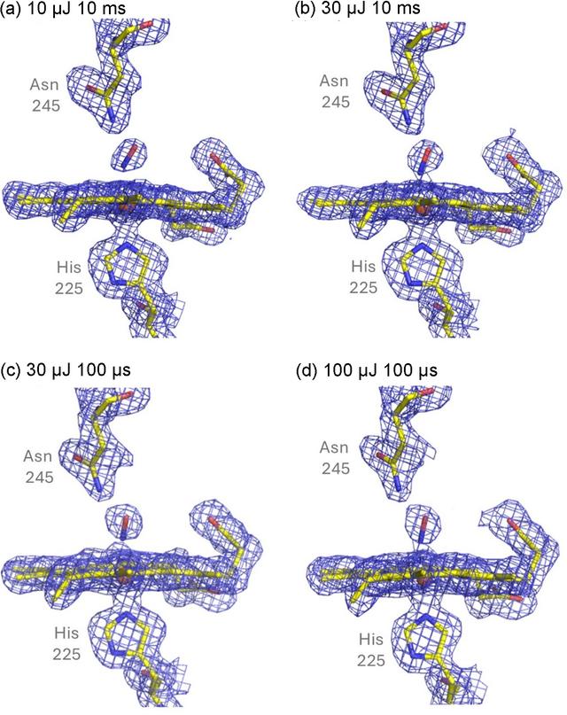 [Figure 7]