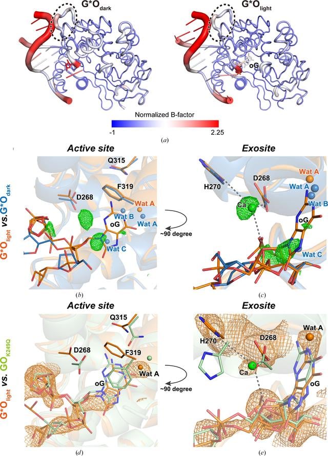 [Figure 3]