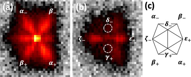 [Figure 1]