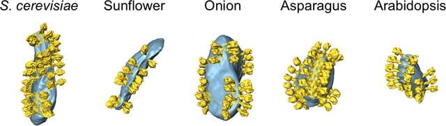 [Figure 2]