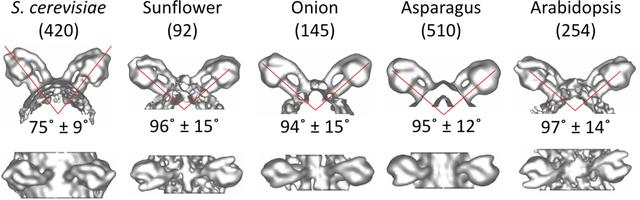 [Figure 3]