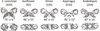 [Figure 3]