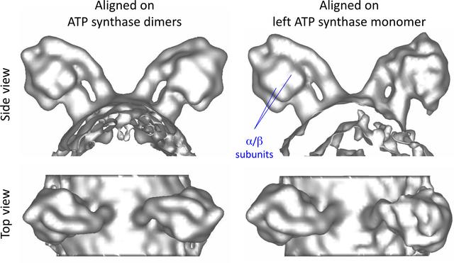 [Figure 4]