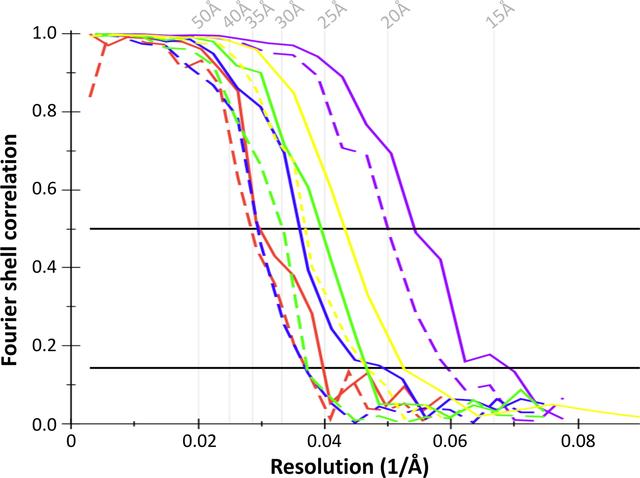 [Figure 5]