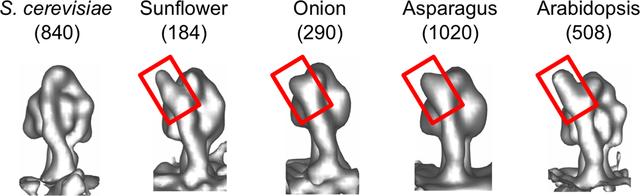 [Figure 6]
