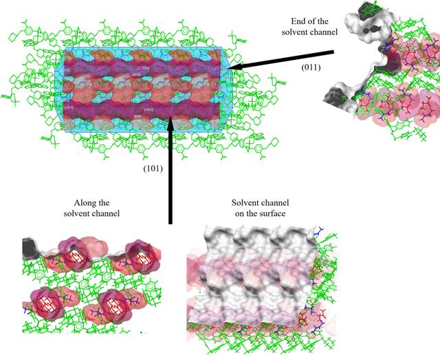[Figure 10]
