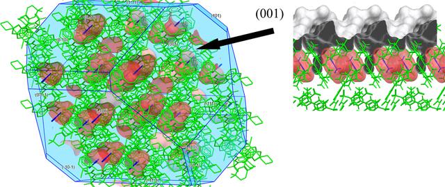 [Figure 11]