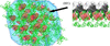 [Figure 11]