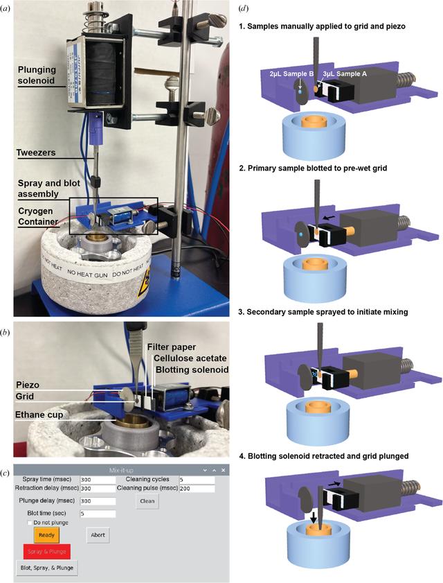[Figure 1]