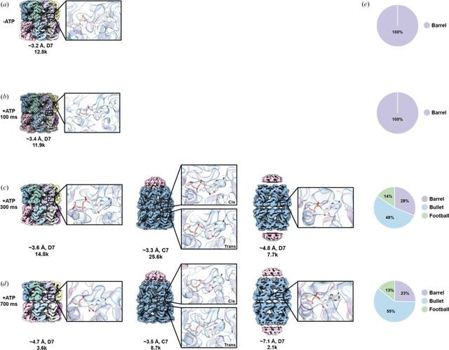 [Figure 4]