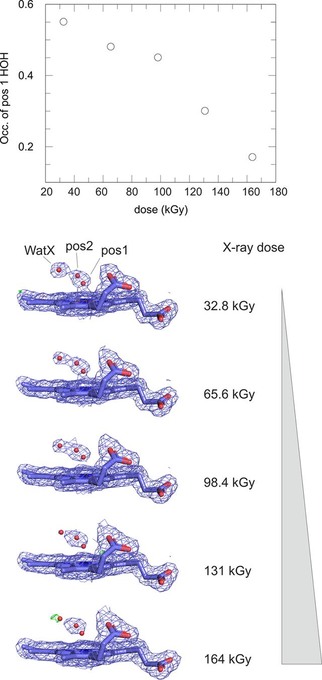 [Figure 10]