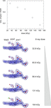 [Figure 10]