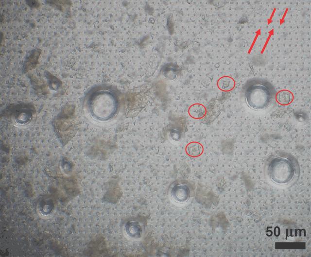 [Figure 11]