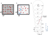 [Figure 1]