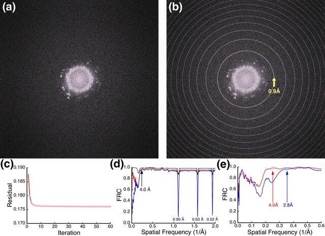 [Figure 10]