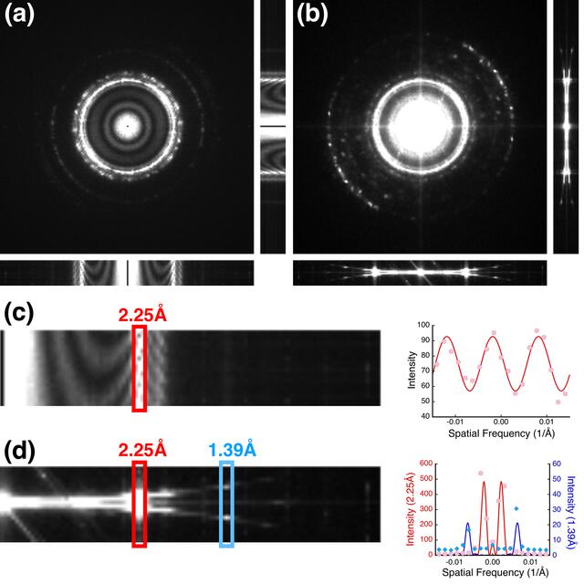 [Figure 2]