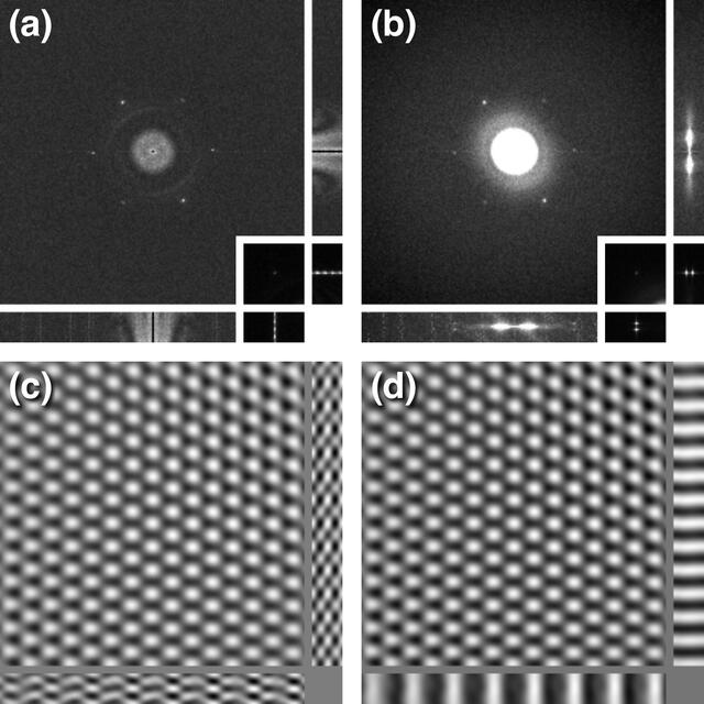[Figure 3]