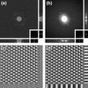 [Figure 3]