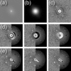 [Figure 4]