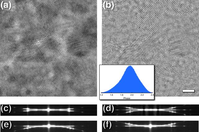 [Figure 5]