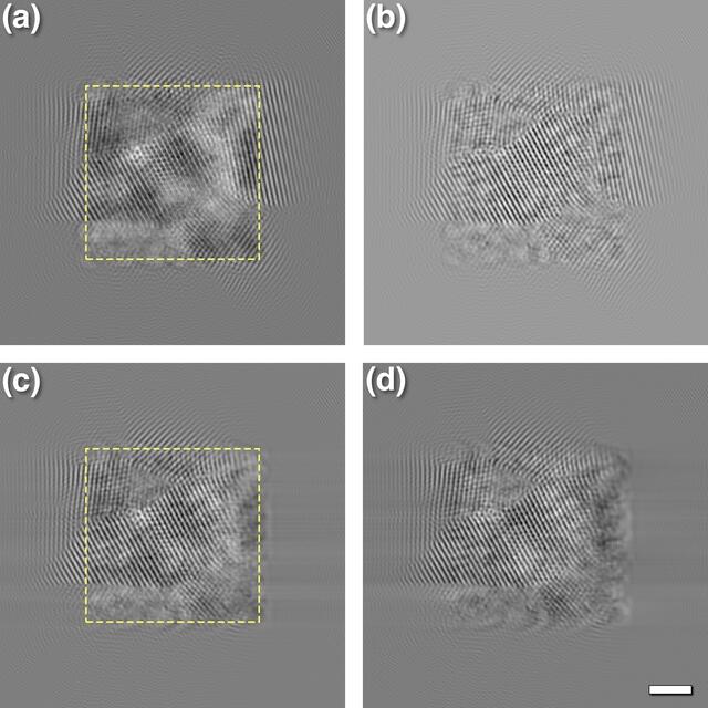 [Figure 6]