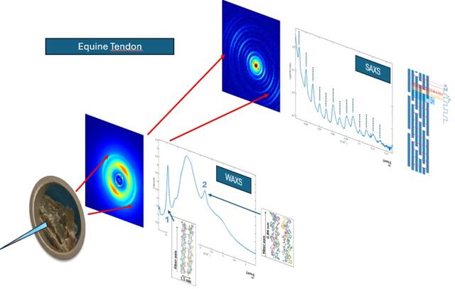[Figure 1]