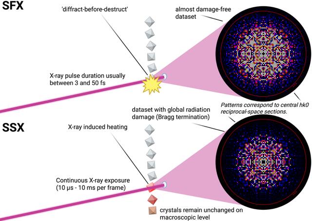 [Figure 1]