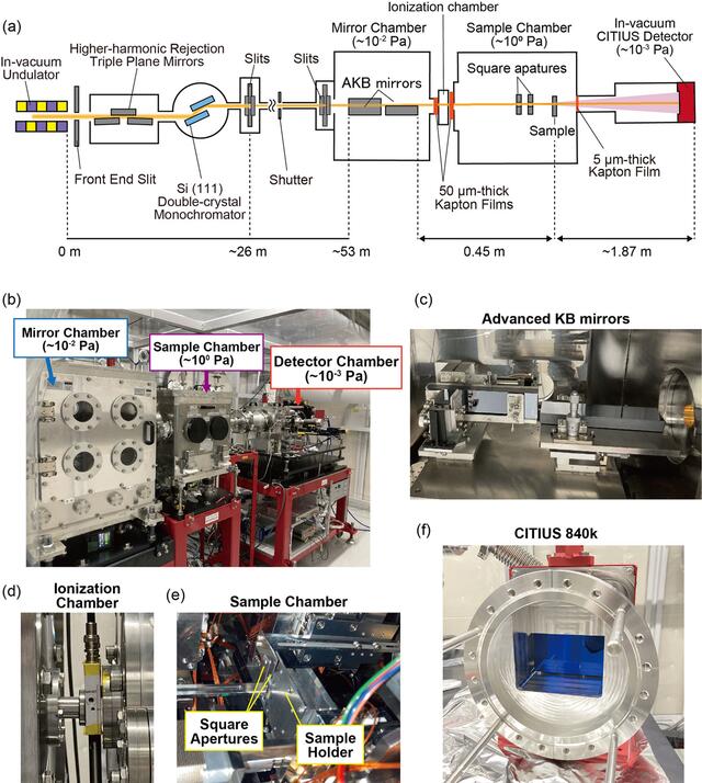 [Figure 1]