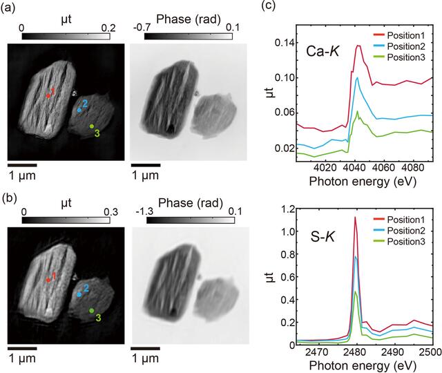 [Figure 3]