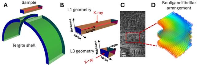 [Figure 1]