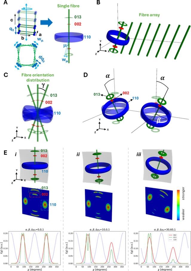 [Figure 2]