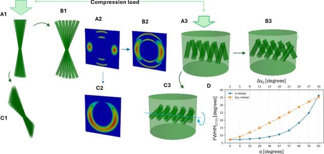 [Figure 7]